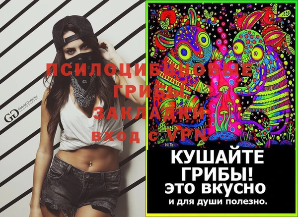 стафф Алексеевка