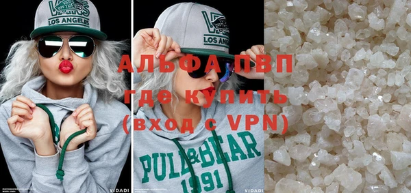 стаф Алзамай