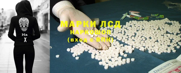 стаф Алзамай