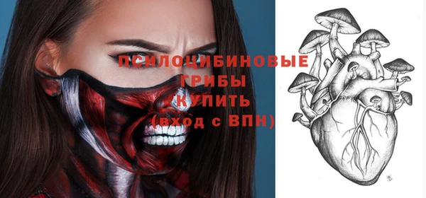 ешки Алексин