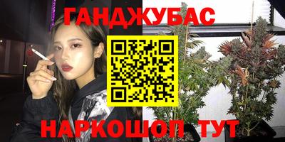 прущие крисы Шебекино