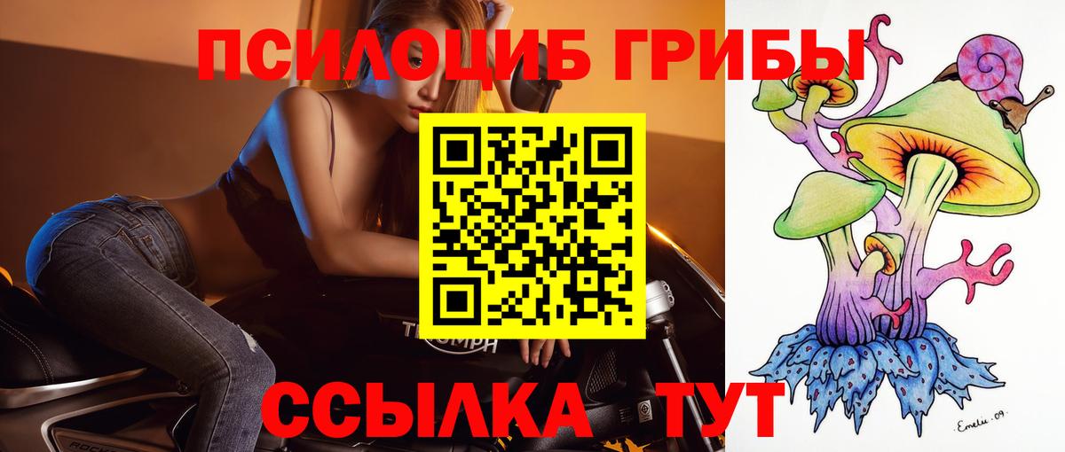 Алушта  Галлюциногенные грибы мухоморы  Вход с VPN 